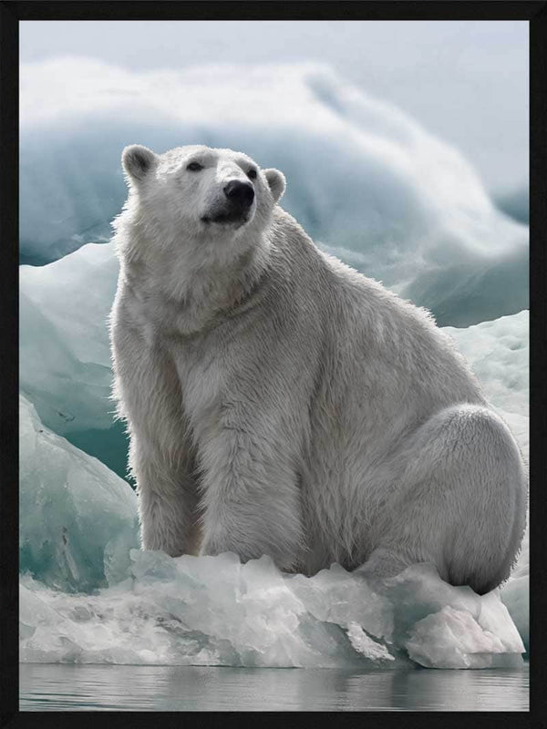 Isbjørn plakat dyr