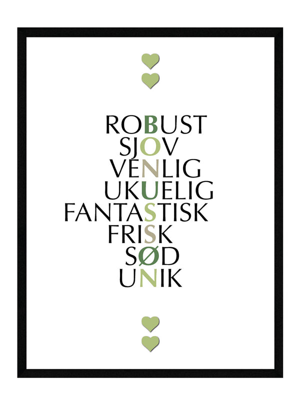 Bonussøn citat plakat citat