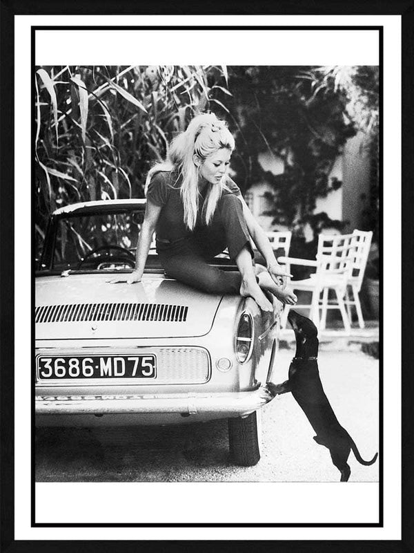 Brigitte bardot - plakat personer