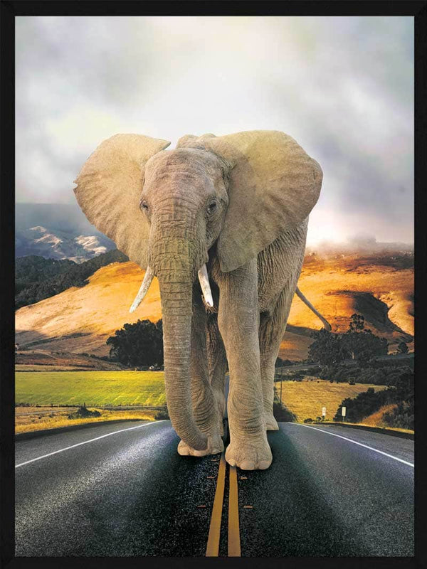 Elefant på vejen - Plakat dyr