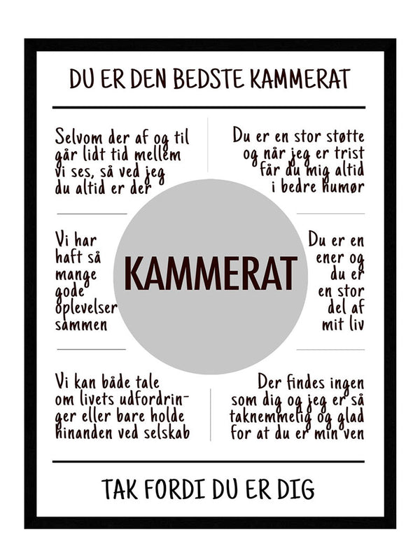 Kammerat plakat citat