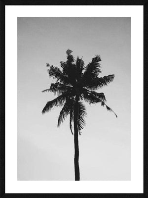 Palme plakat natur