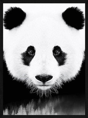 Panda plakat dyr
