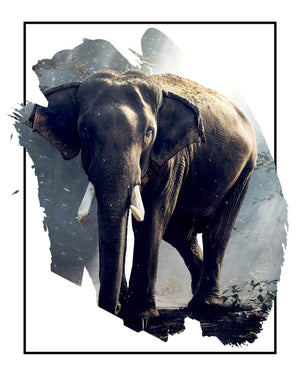 Elefant i skovlysning - Plakat dyr
