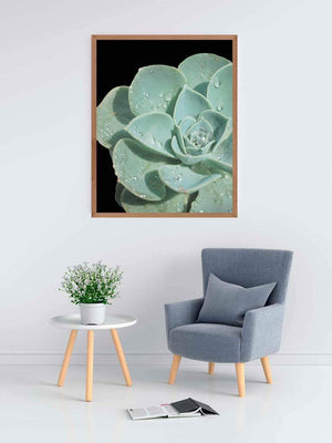 Kaktus blade - Plakat botanik