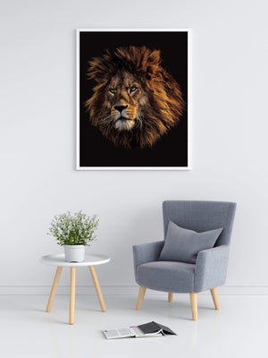 Løve - Plakat dyr