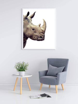 Næsehorn - Plakat dyr