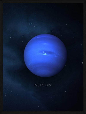 Neptun plakat natur