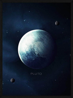 Pluto plakat natur