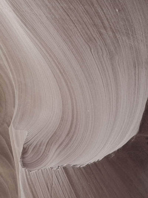 Sandbjerg plakat natur