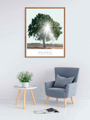 Smukt solskin igennem træ - Plakat botanik