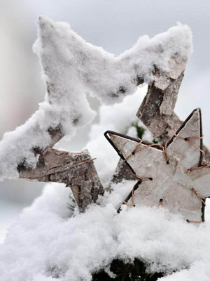 Snedækket stjerner juleplakat juleplakat