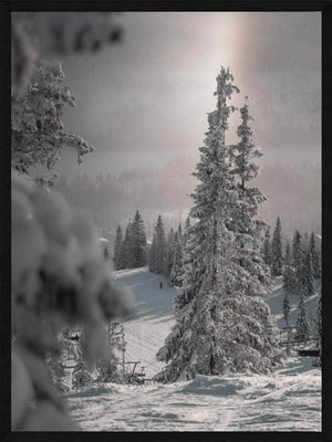 Snedækket træ Juleplakat juleplakat