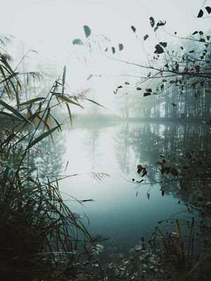 Sø omringet af tåge plakat natur