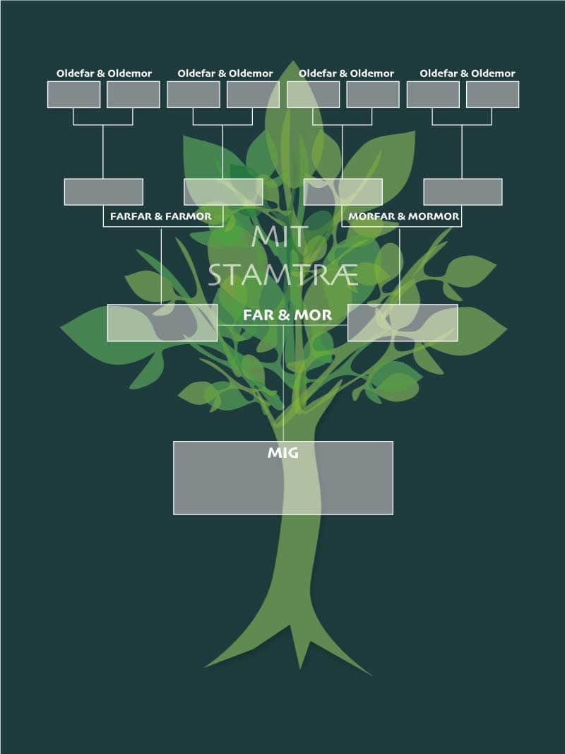siv Mindful bevæge sig Stamtræ plakat