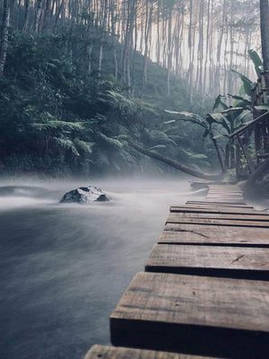 Træbro på floden plakat natur