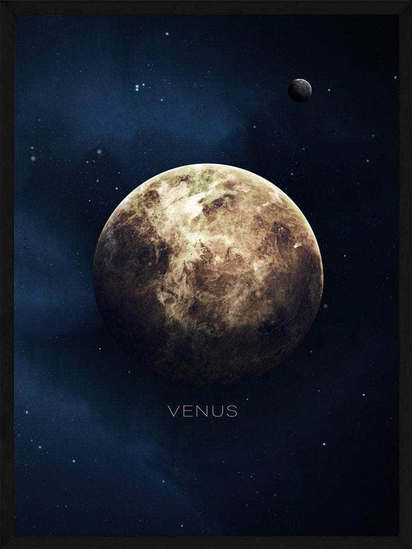 Venus plakat natur